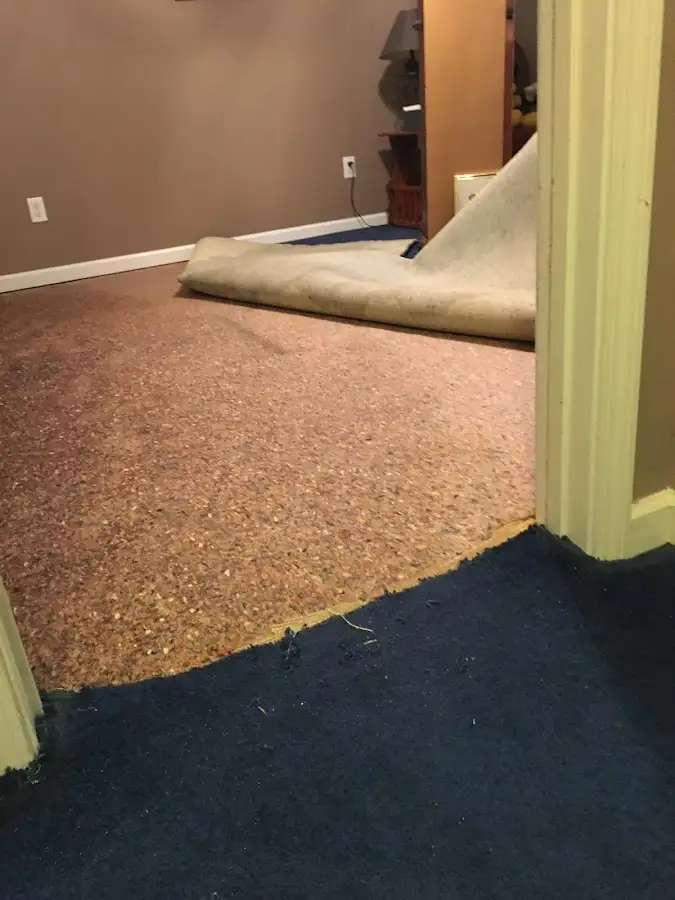 Carpet pad removal revealing water damage during Drying & Dehumidification in Mill Valley
