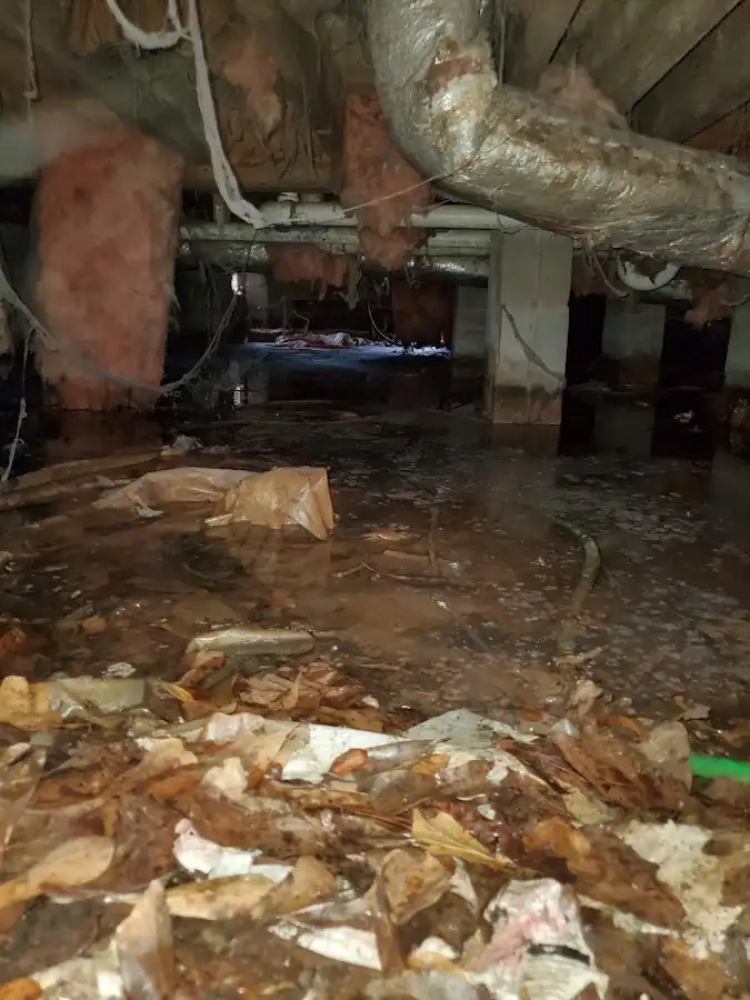 Crawl space flood assessment for Commercial Water Damage Restoration in Mill Valley